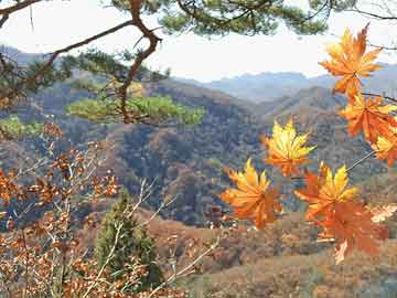 申根-申根签证旅游保险