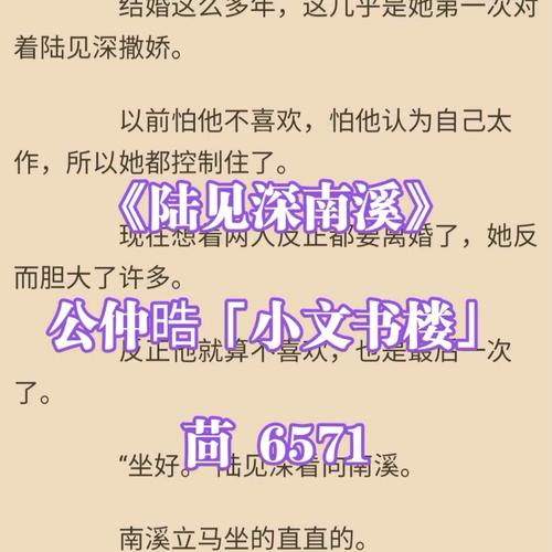 南溪-南溪陆见深小说全文免费阅读最新