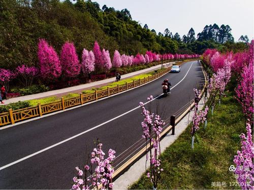 乐山绿心路-乐山绿心路多少公里