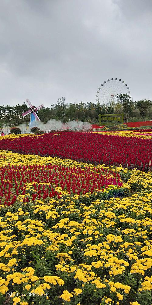 信阳百花园-信阳百花园风景区介绍