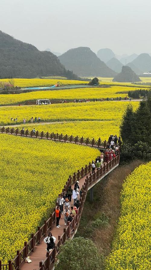 罗平旅游-罗平旅游景点大全