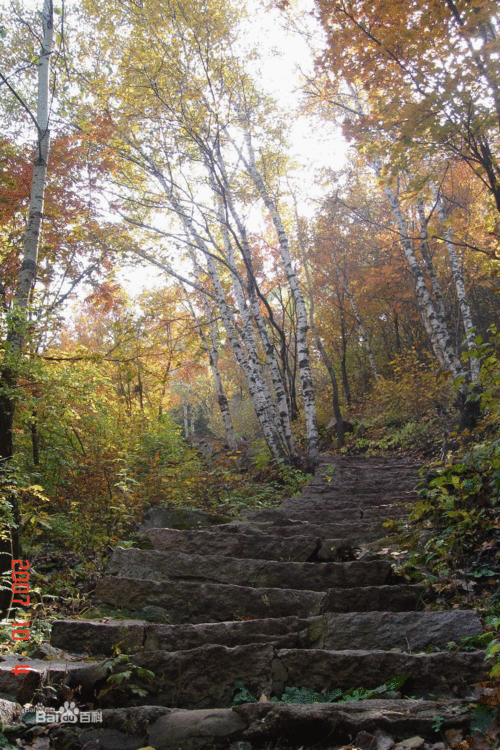 喇叭沟门原始森林风景区-喇叭沟门原始森林公园攻略