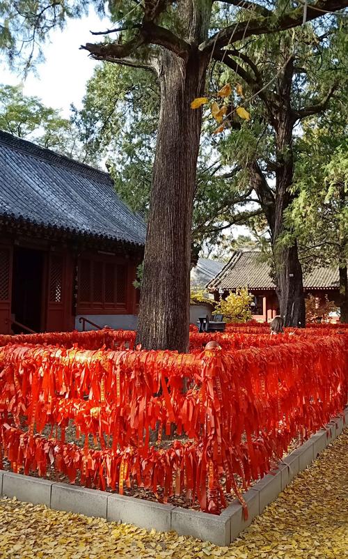 红螺寺-红螺寺求什么最灵验