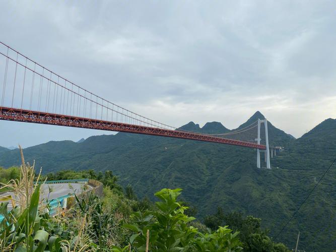 坝陵河大桥-坝陵河大桥有多高