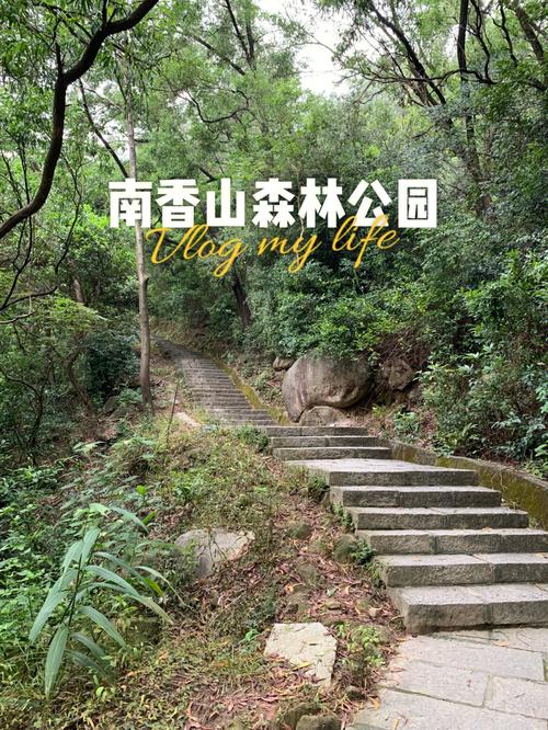 南香山-南香山森林公园