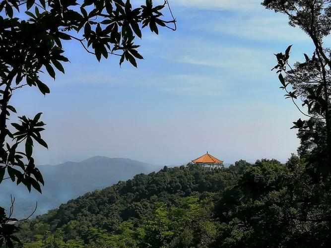 广州帽峰山森林公园-广州帽峰山森林公园攻略