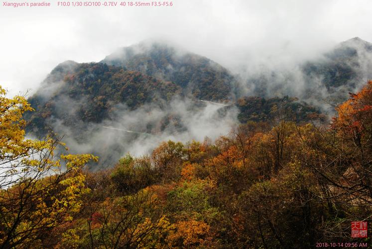 南江光雾山-南江光雾山天气