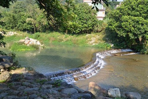 同安竹坝农场-同安竹坝农场风景区