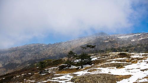 轿子雪山-轿子雪山天气预报15天查询