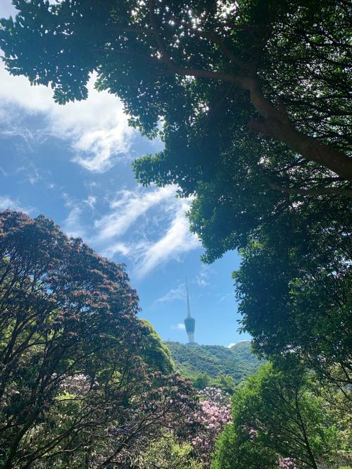 梧桐山好玩吗-梧桐山好玩吗?深圳