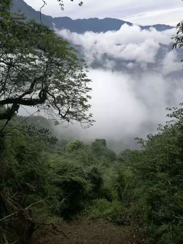 雾中山-雾中山在哪里