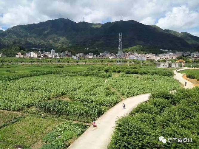 信宜钱排-信宜钱排双合村美丽乡村景观