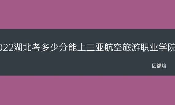 海南三亚航空学院-海南三亚航空学院分数线多少