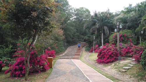 厦门梅海岭-厦门梅海岭公园在哪里