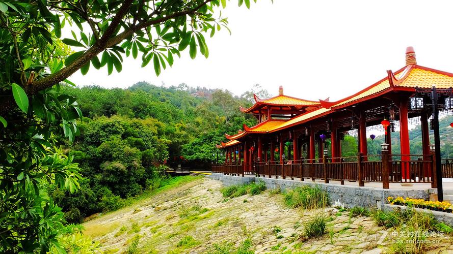 漳州风景-漳州风景园林中心