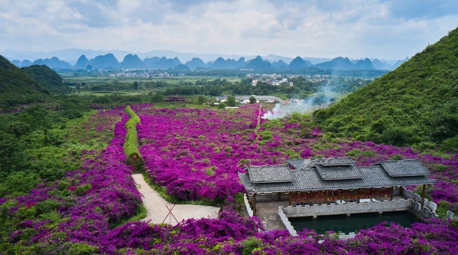 桂林灵川-桂林灵川花海景区在哪里