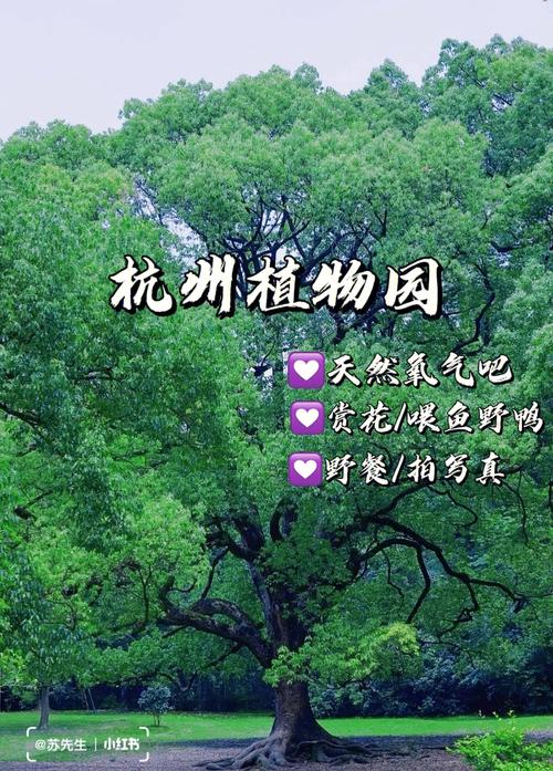 杭州植物园-杭州植物园好玩吗