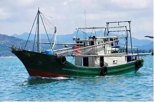 出海打渔-出海打渔什么时间去