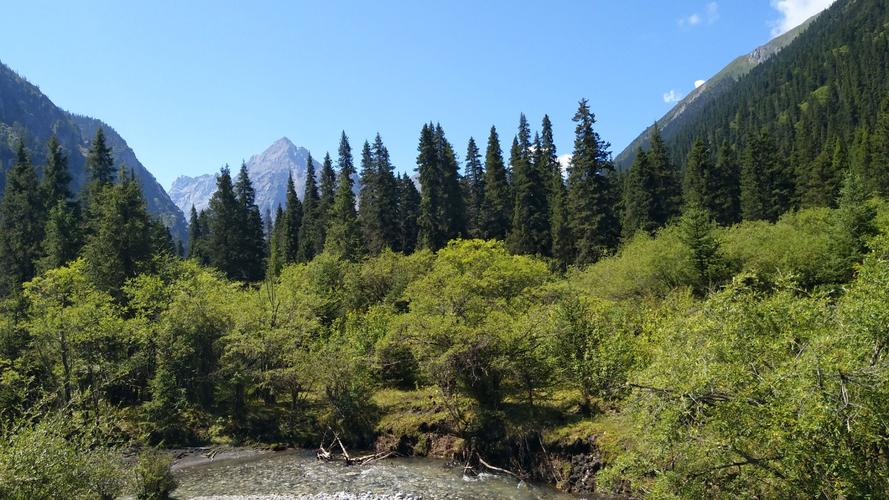 王朗自然保护区-王朗自然保护区天气预报