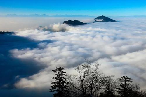 瓦屋山-瓦屋山海拔高度是多少米