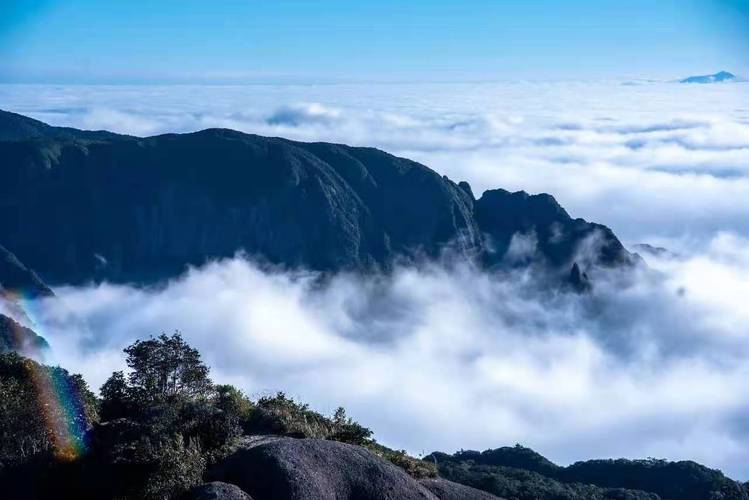 猫儿山-猫儿山在哪里