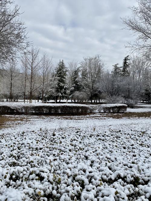 北京什么时候下雪-今年北京什么时候下雪