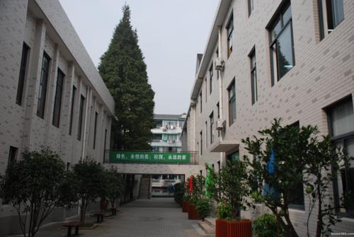 大学路-大学路小学怎么样