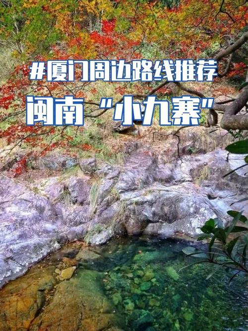 厦门林场徒步多久开始旅游-厦门哪里有徒步行走活动