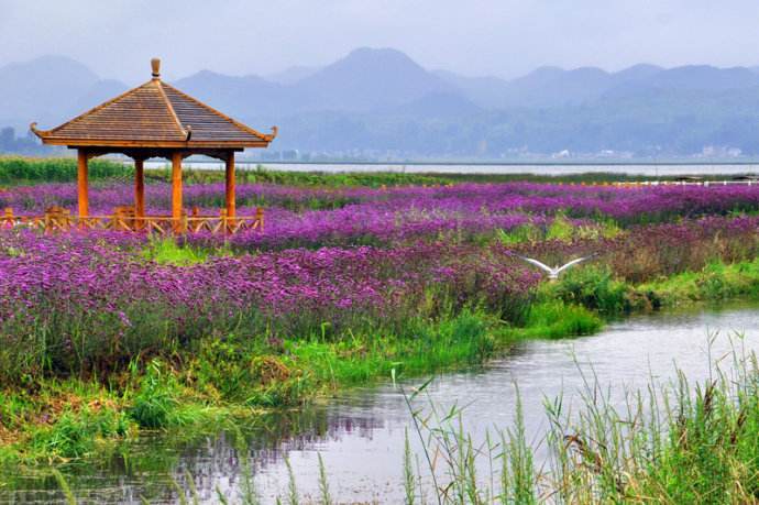 毕节草海旅游时间多久合适-毕节草海海拨多少米