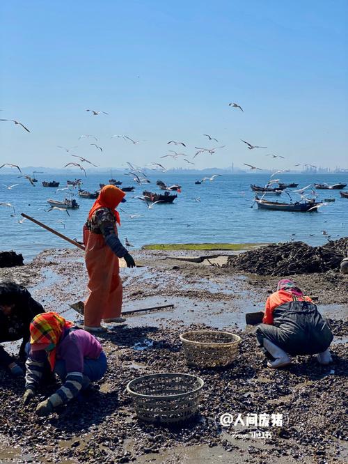 大连岛屿旅游赶海时间多久-大连赶海免费最佳地方