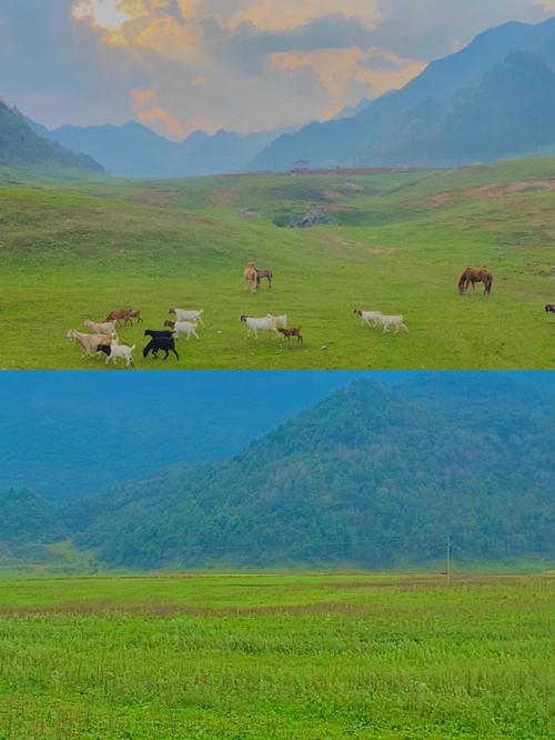 南方多久可以去旅游-去南方游玩攻略