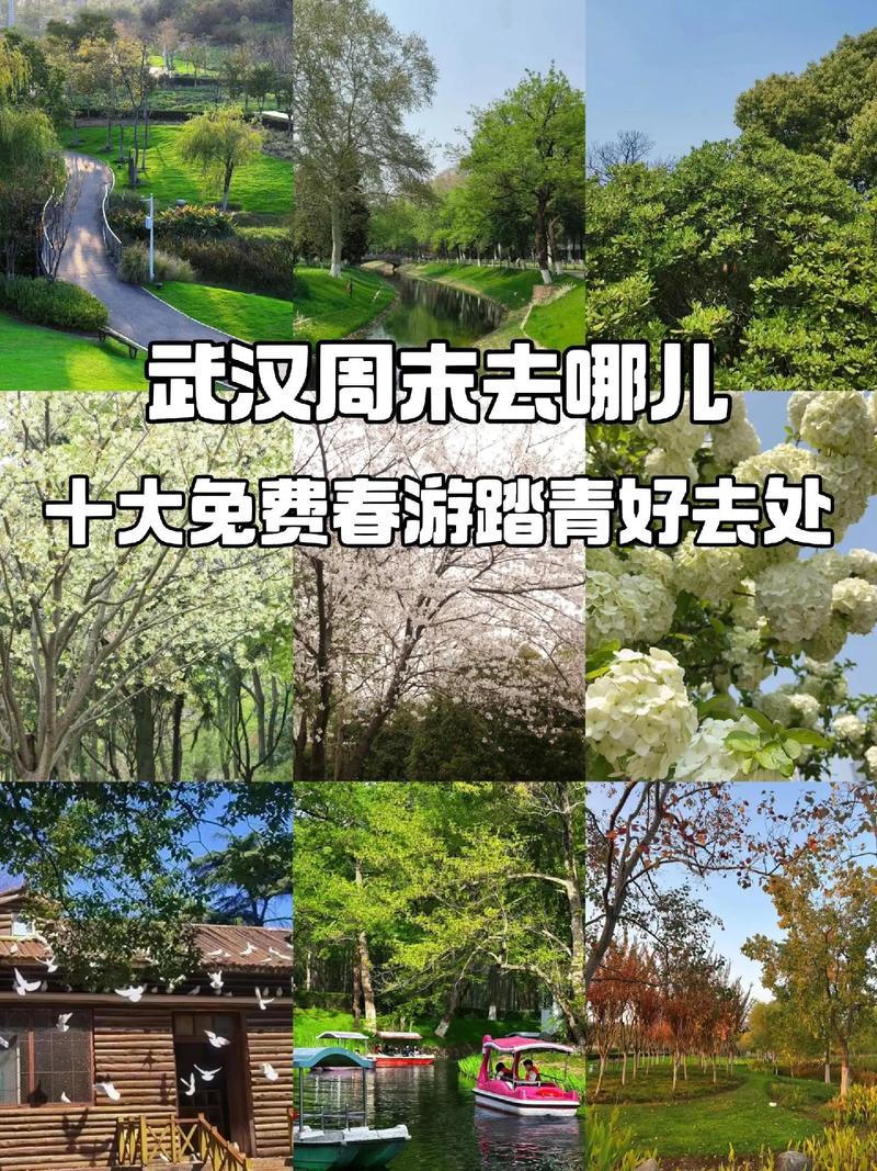 龙口旅游踏青时间多久合适-龙口春游最佳去处