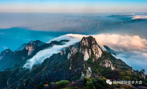 还有多久去中原旅游-还有几天到中原