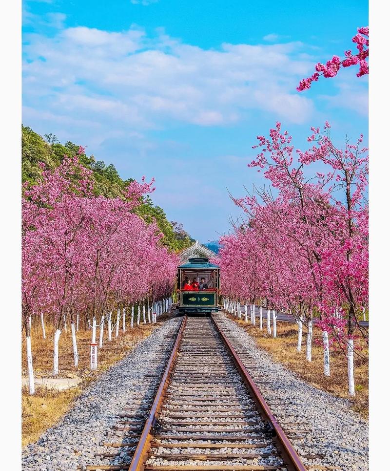 南昌旅游踏青时间多久啊-南昌踏青好去处