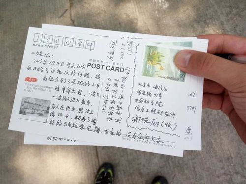 旅游明信片要多久收到信息-旅游明信片寄语怎么写