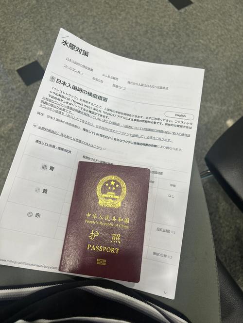 汉族旅游签证多久出来-汉族去韩国旅游签证