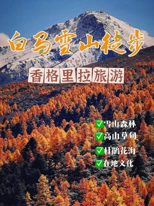 天山花海旅游时间多久-如何修改微信群名称备注