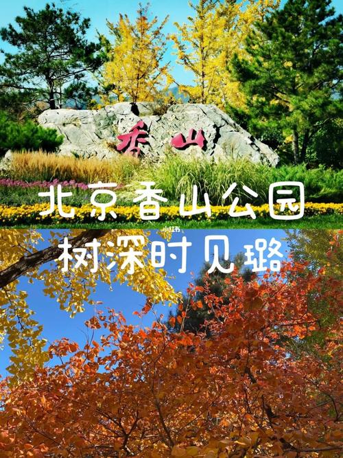 香山公园旅游需要多久-香山公园需要多久能逛完