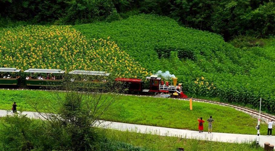 曾家山夏天旅游时间多久-曾家山夏天旅游时间多久啊