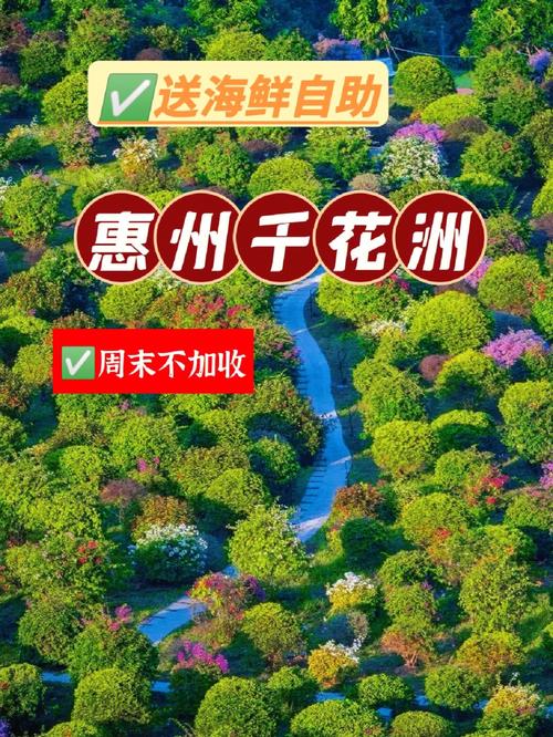 花橙旅游退款多久下来-花橙旅游官网电话