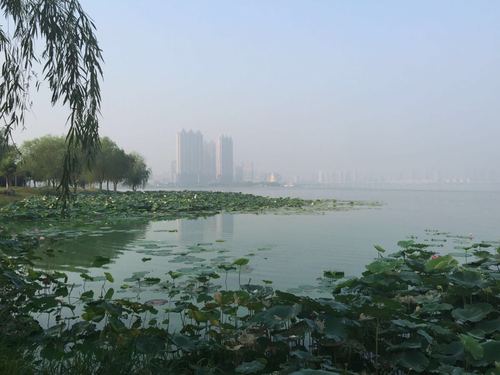 沙湖公园旅游时间多久-沙湖公园美景