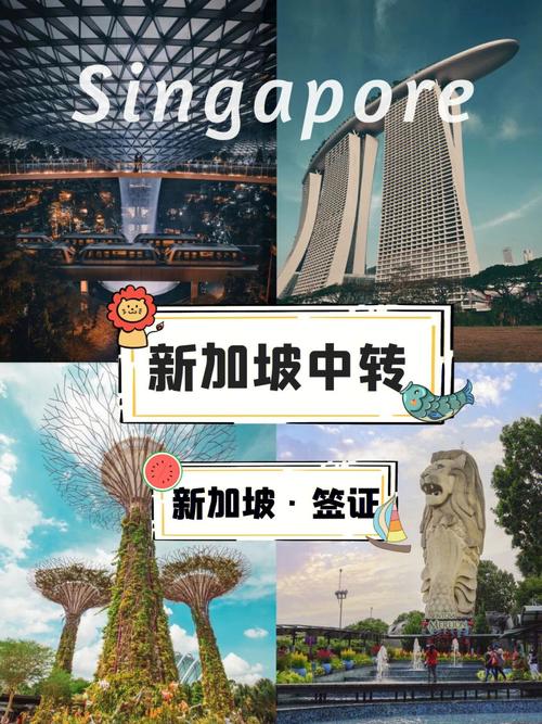 中国多久对新加坡开放旅游-中国多久对新加坡开放旅游签证