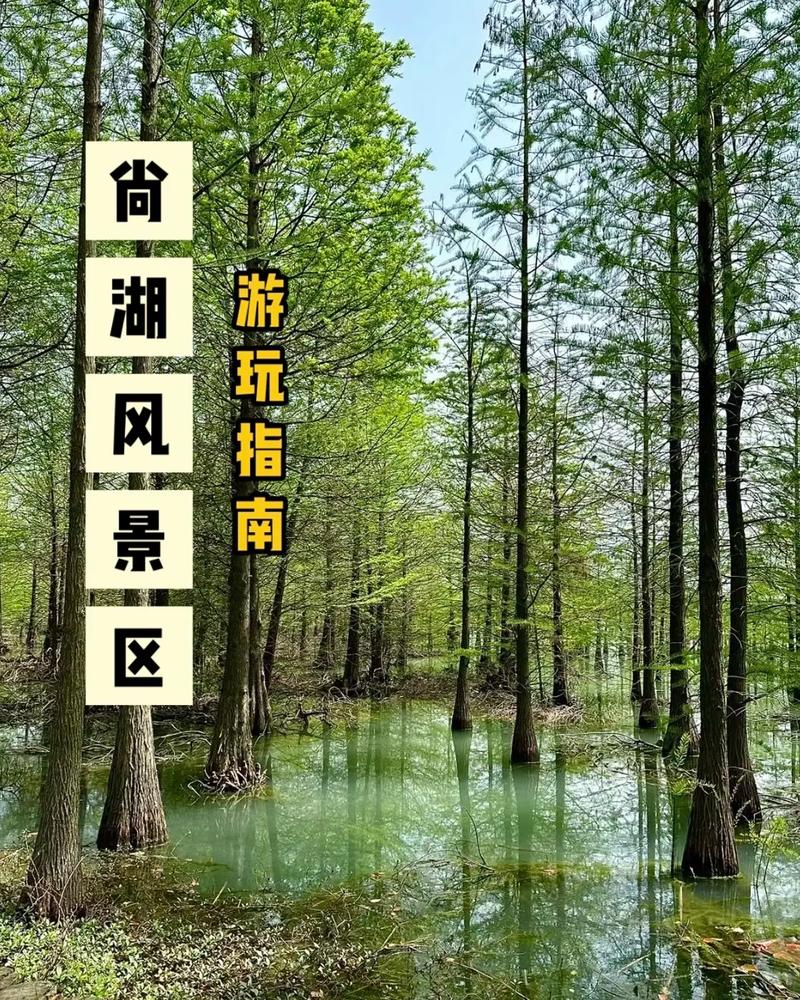 尚湖旅游需要多久-尚湖风景区需要门票吗