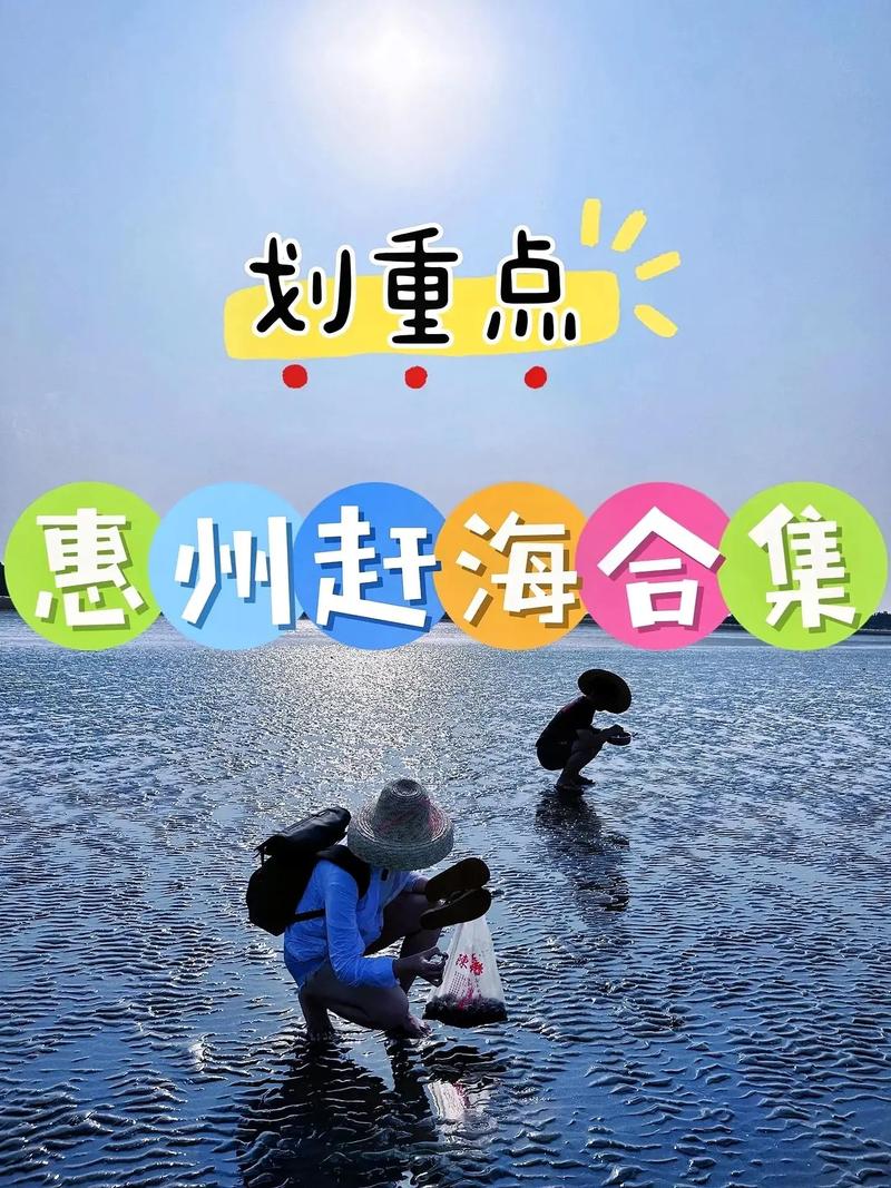 惠州海边旅游赶海时间多久-惠州免费赶海的地方在哪里?怎么去?